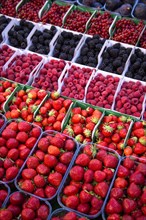 Various types of berries