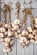 Garlic braids