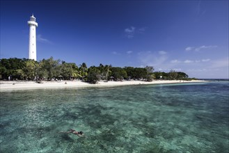 Snorkeler off Amedee Island