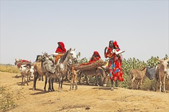 Choa nomads with donkeys and horses at Maga Dam