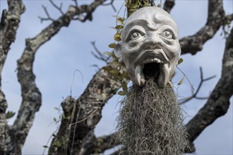 A mask hanging on a tree