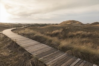 Boardwalk through Amrum Dunes Nature Reserve