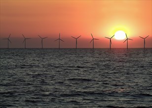 Offshore wind farm at sunset