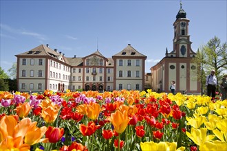 Schloss Mainau Castle and a colourful tulip field