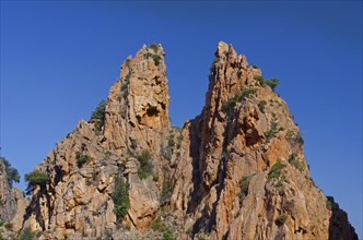 The typical bizarre red rocks of the Calanche of Piana below a blue sky. The Calanche of Piana is in the western part of the island Corsica
