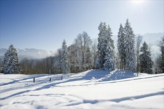 Snowy winter landscape