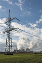 Power lines and the Neurath lignite-fired power station