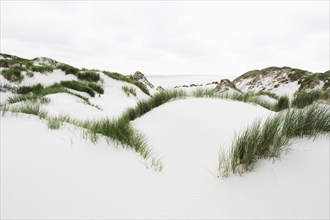 Dunes and a white sandy beach
