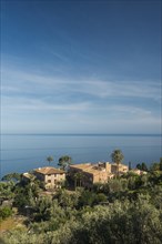 Houses and palm tree by the sea