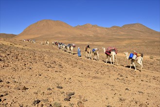 Tuareg men with a camel caravan at Atakor