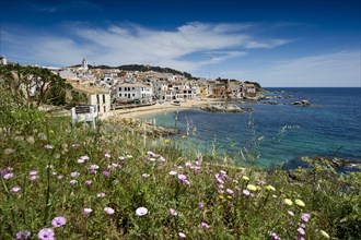 Village with a sandy beach on the sea