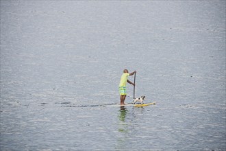 Stand-up paddler with dog