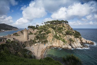 Town and castle by the sea