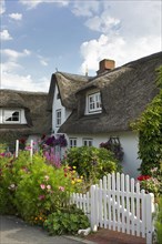 Thatched house with a cottage garden