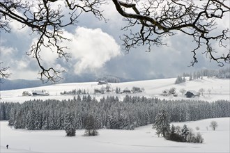Snow-covered winter landscape