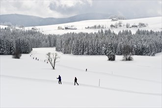 Snow-covered winter landscape with cross-country skiers