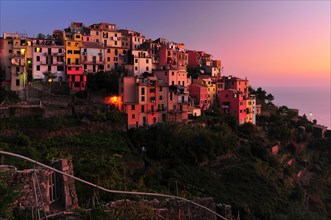 The village of Corniglia with vineyards in the evening light
