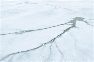 Cracks spread across the surface of a frozen lake in Danube Park