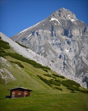 Hut on an alpine meadow