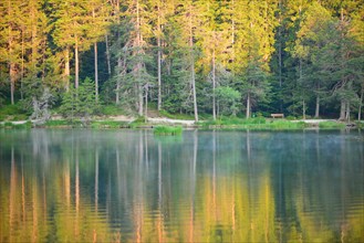 Conifer forest reflected in lake Moserer See in the morning light
