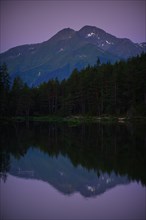 Conifer forest on lake Moserer See
