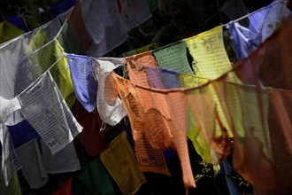 Fluttering prayer flags