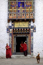 Monks of the Drukpa monastic community entering the courtyard of Trashigang Dzong fortress
