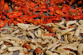 Chili peppers laid out to dry