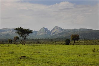 Landscape of Central Cameroon
