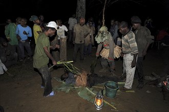 Pygmies of the Bakola people performing a healing ritual