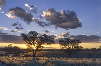 Sunset over the Nossob Valley