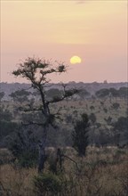 River landscape in the southern Kruger National Park