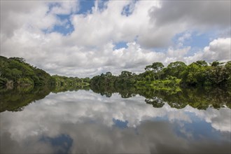 Tiwai Island Wildlife Sanctuary on an island in the Moa River