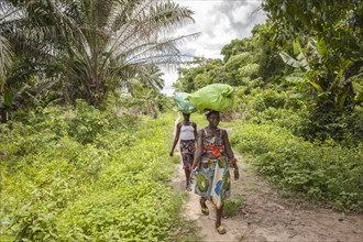 Women walking on a jungle trail