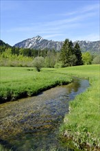 Landscape near Aurach in the Leitzachtal valley in spring