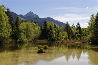 Lake Quellsee in spring