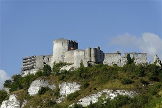 Chateau Gaillard medieval castle