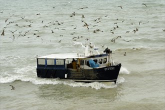 Seagulls swarming around a fishing boat