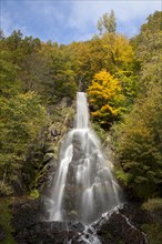 Trusetal waterfall in autumn