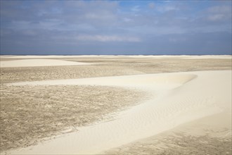 Sand dunes on Nordstrand beach