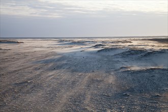 Sand dunes on Nordstrand beach
