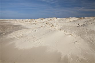 Sand dunes at Nordstrand beach