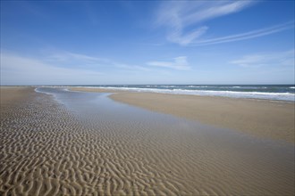 Beach at low tide