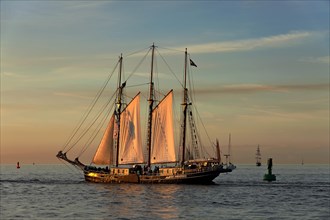 Sailing vessel Albert Johannes at the Hanse Sail 2013