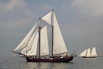 Sailing vessel Twister at the Hanse Sail 2013