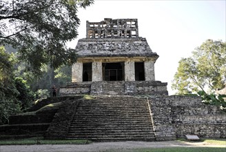 Palenque Chiapas di Maya