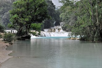 Cataratas de Agua Azul