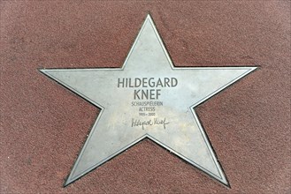 Star of Hildegard Knef