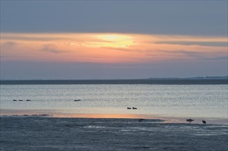 Sunset over the Wadden Sea