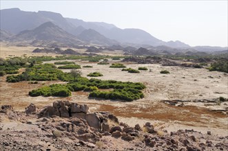 The dry river bed of the Ugab river
